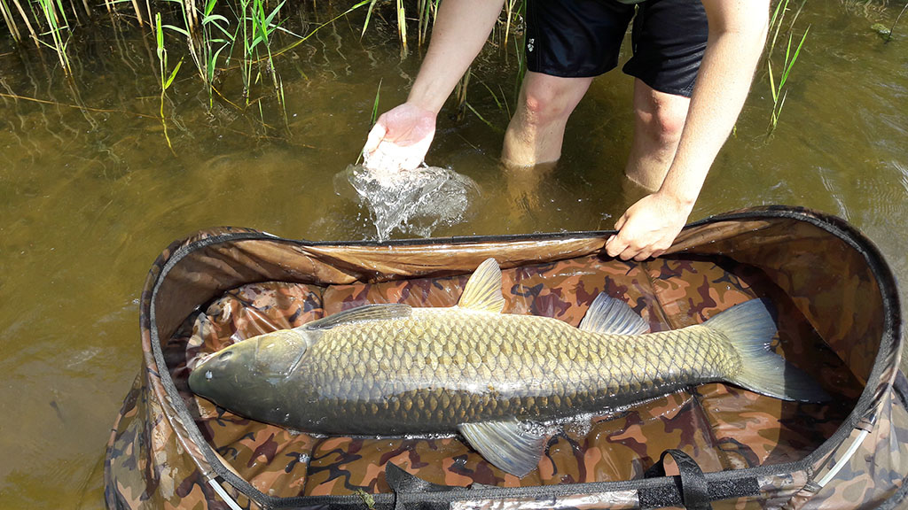 Immer schön nass halten und am besten direkt im Wasser bleiben